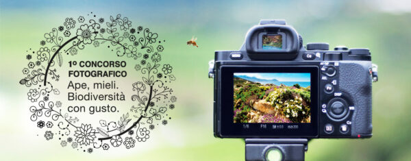 5 ONM concorsofoto visual HOME logo 0 grazie 5 ONM concorsofoto visual HOME logo 0 grazie