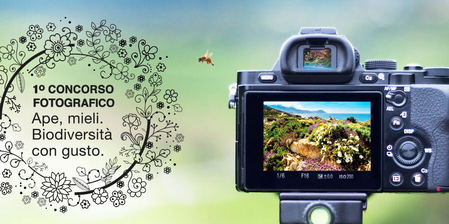 5 ONM concorsofoto visual HOME logo 0 grazie 5 ONM concorsofoto visual HOME logo 0 grazie