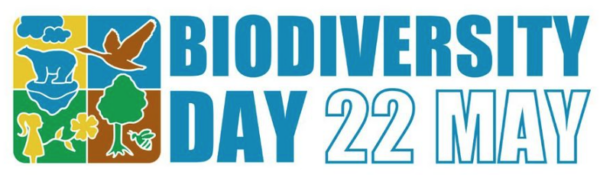 Schermata 2023-05-22 alle 09.27.20