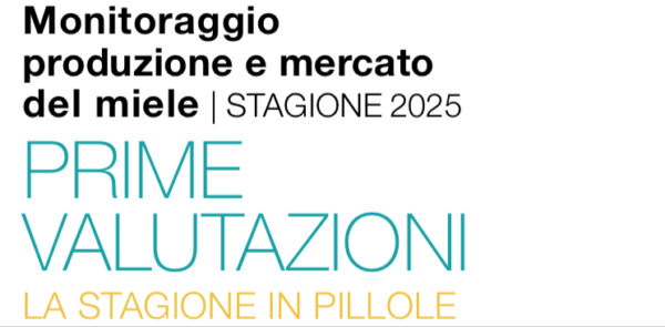 Prime Valutazioni 2025 cop