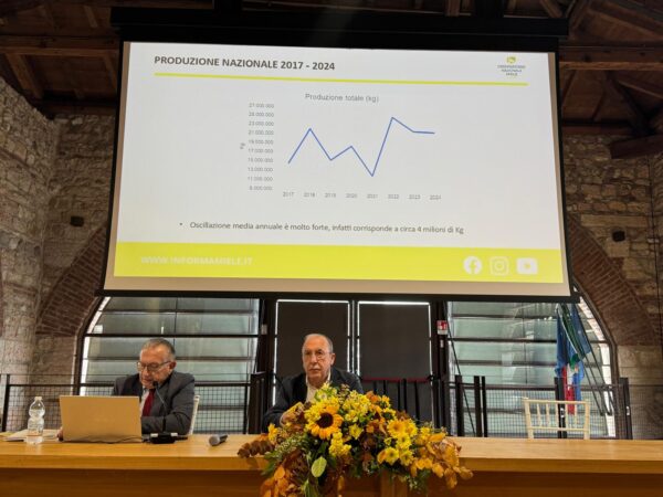 Convegno Lazise 4-10-25