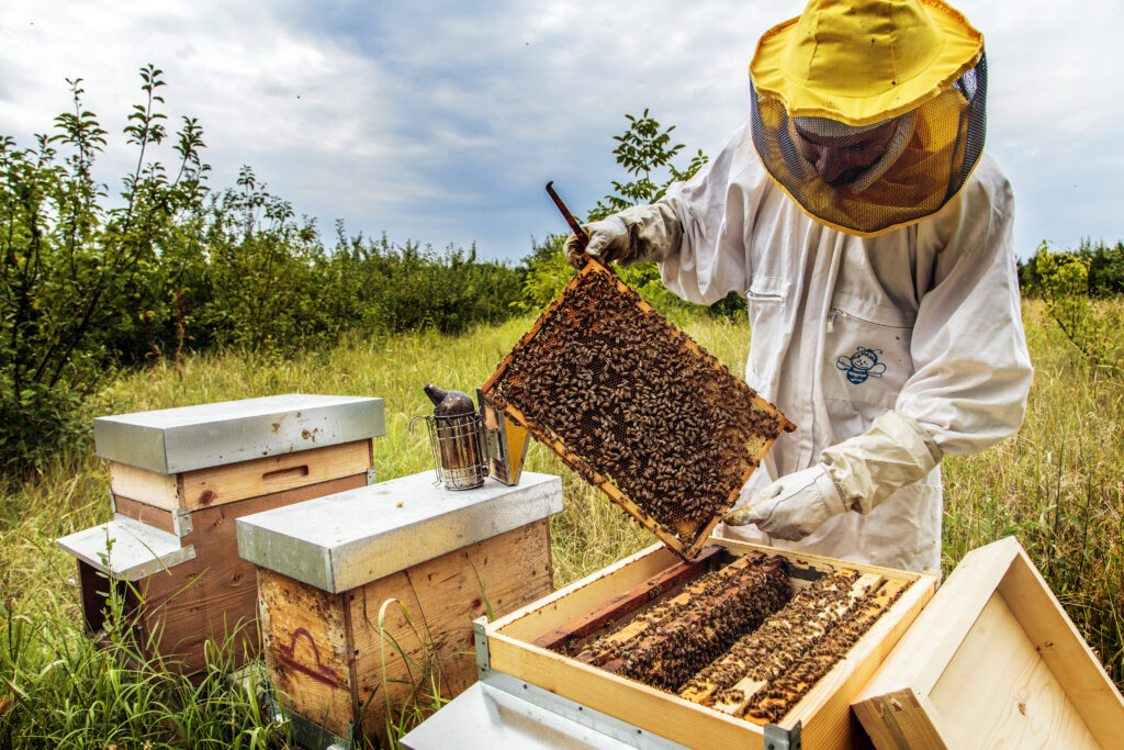 Cristiana_Bonazza_01