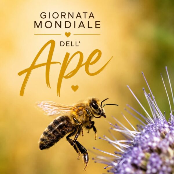 Giornata mondiale ape 2026