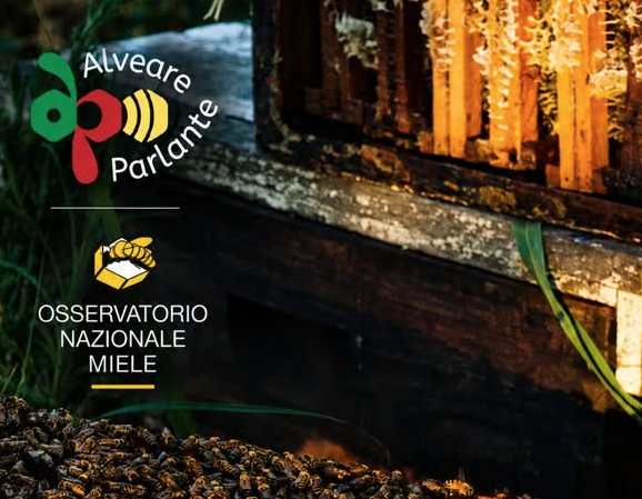 Alveare Parlante