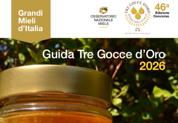 Guida2026